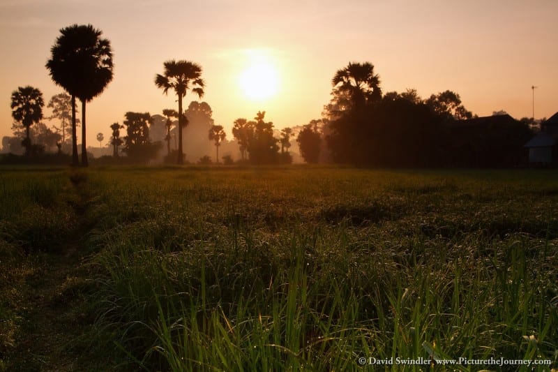 Rice Paddy Sunrise