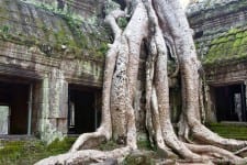 Ta Prohm