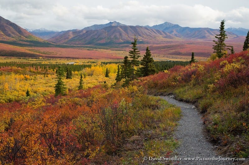 Denali Mountain View Trail