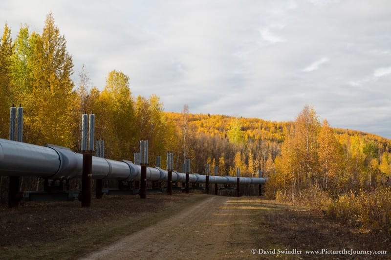 Fall Colors Alaskan Pipeline