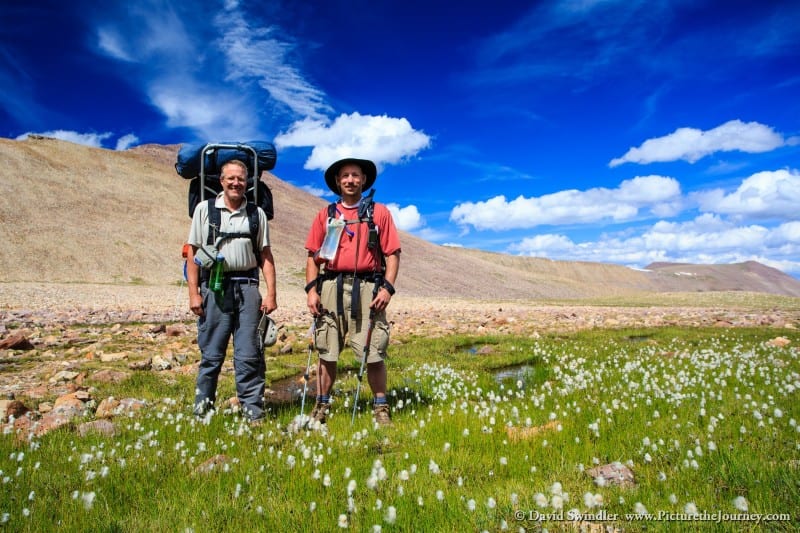 Cotton Grass