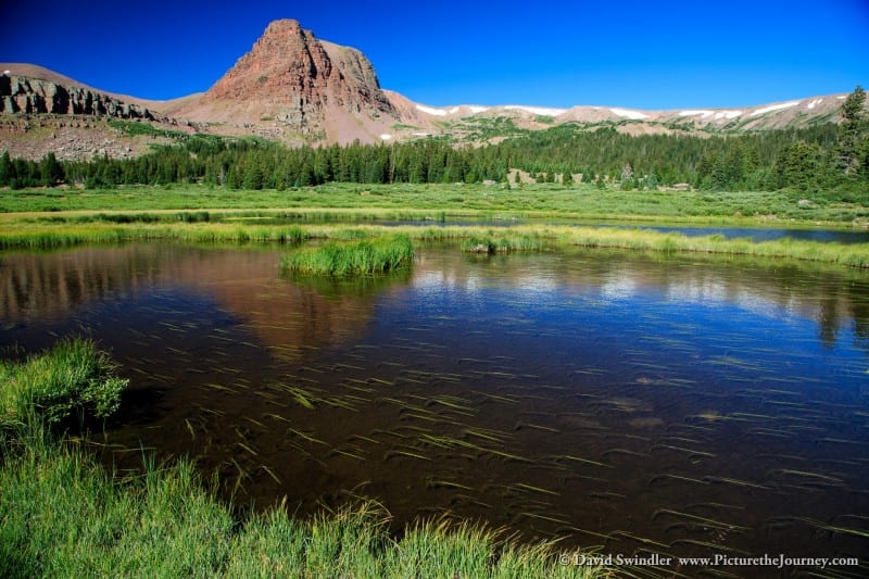 Grass Lake