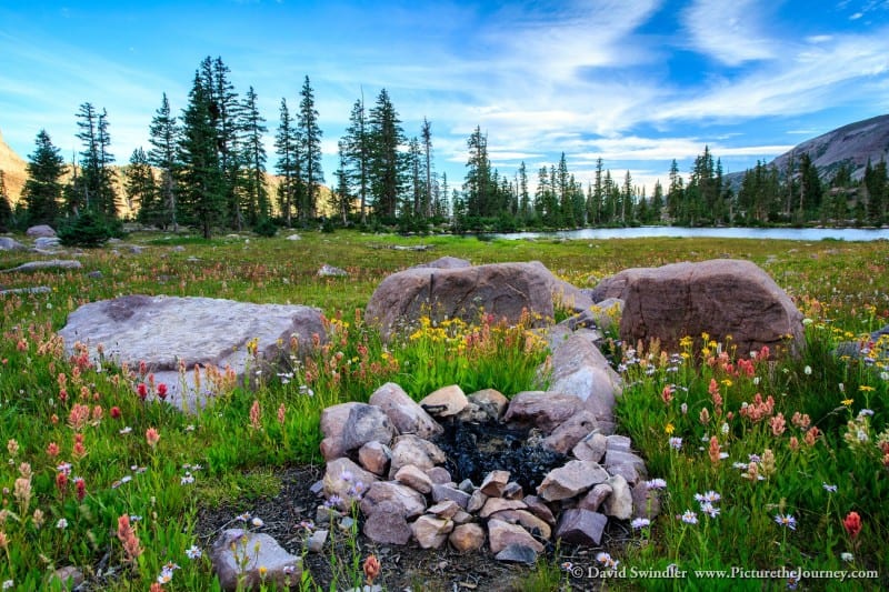 Wildflower Campsite