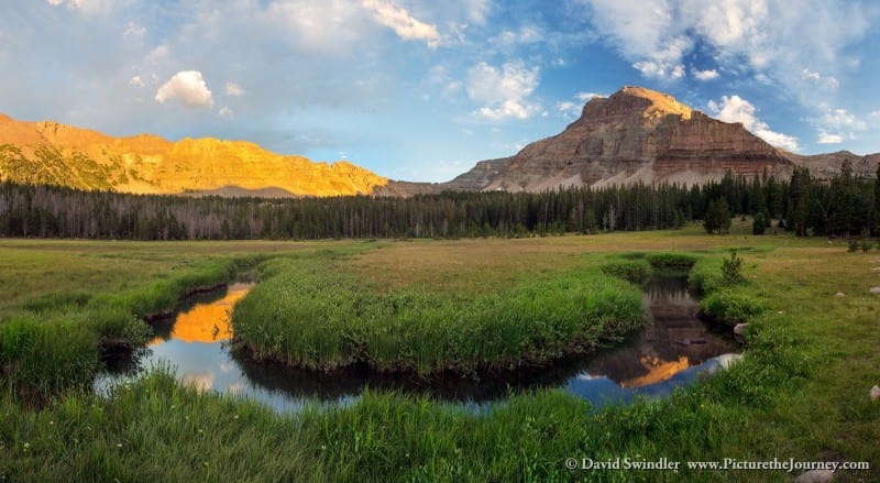 Amethyst Meadow Pano