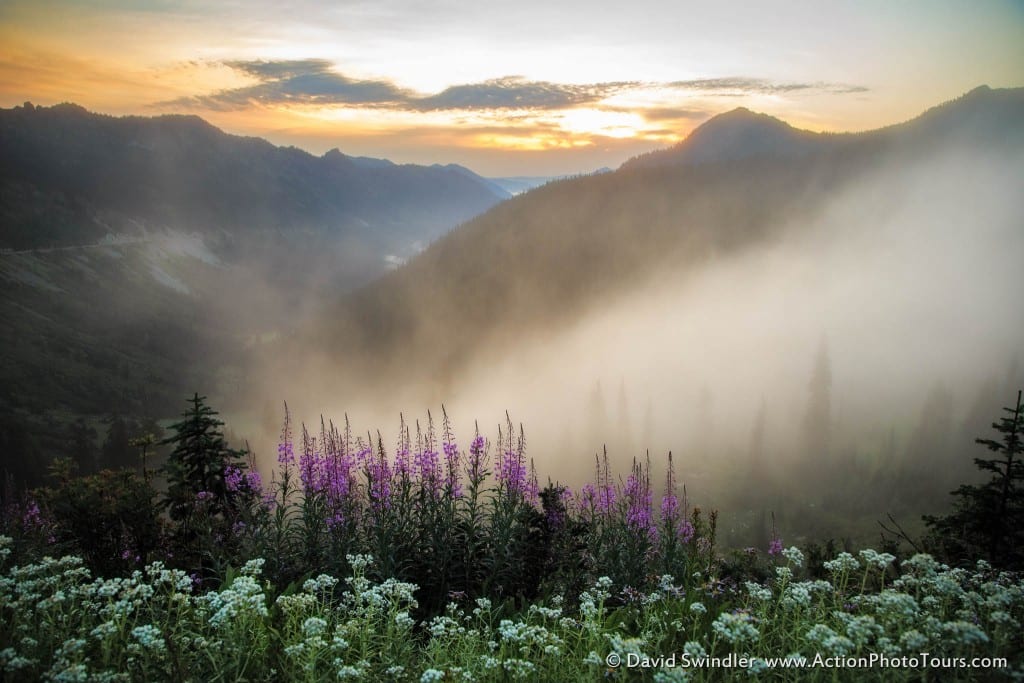 Misty Sunrise at the Pass