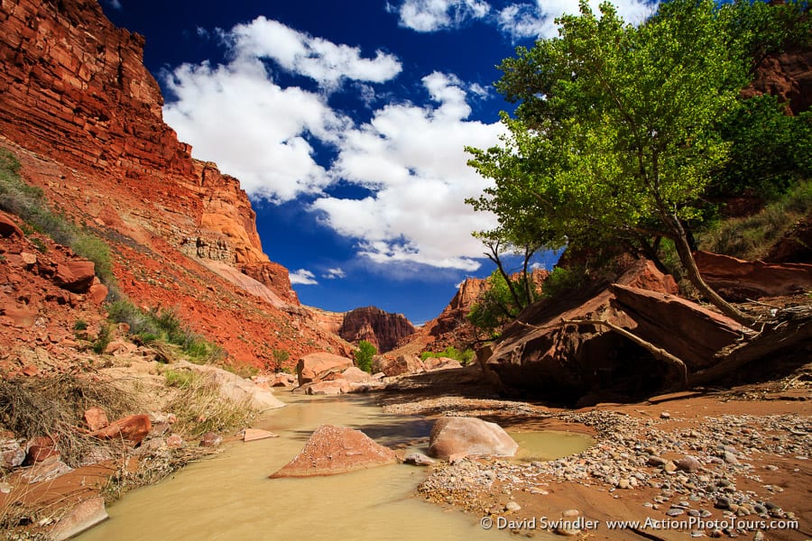 Lower Paria Canyon