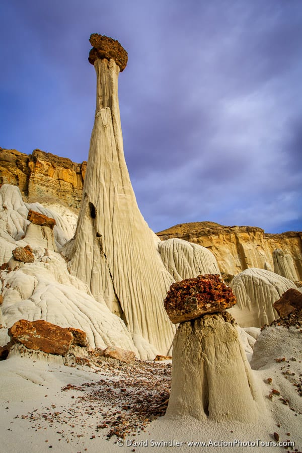 Towers of Silence