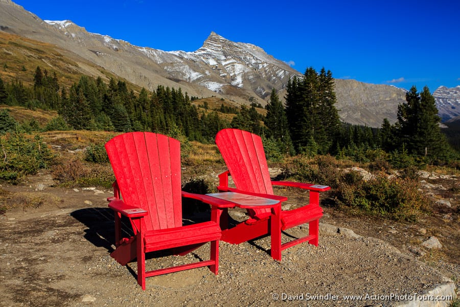 Wilcox Pass Rest Stop