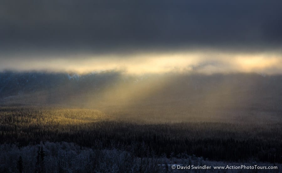 Rays of Light