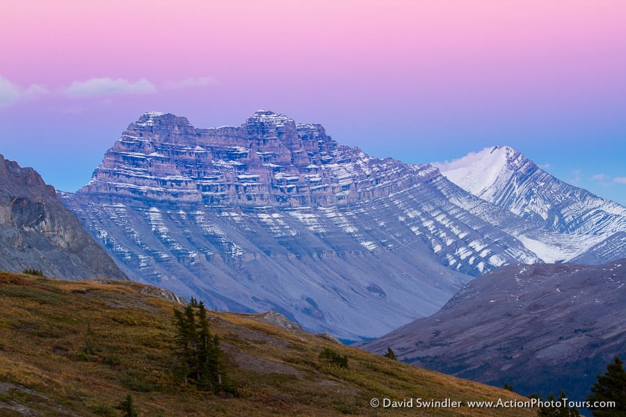 Wilcox Pass