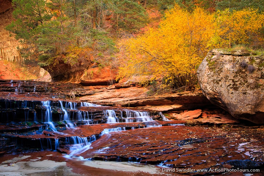Fall Color in The Subway Zion
