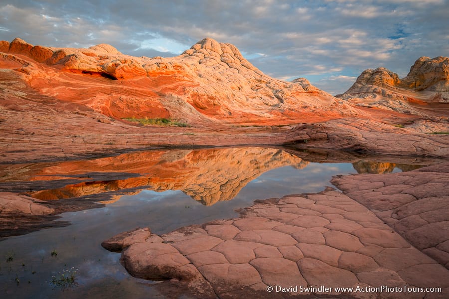 White Pocket Reflection