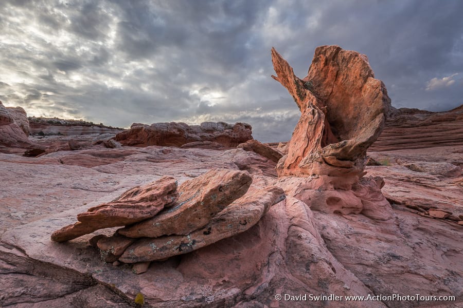 White Pocket Hoodoo