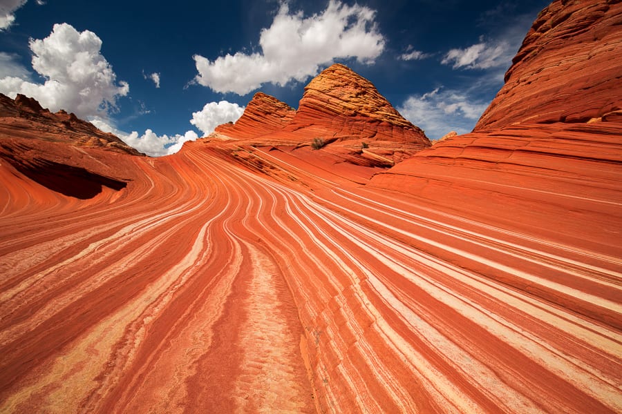 The Wave Photography Tour in Arizona : Action Photo Tours