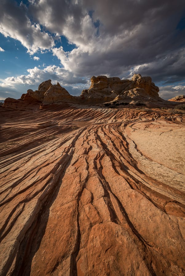 White Pocket Overnight Photography Workshop in Utah & Arizona : Action ...