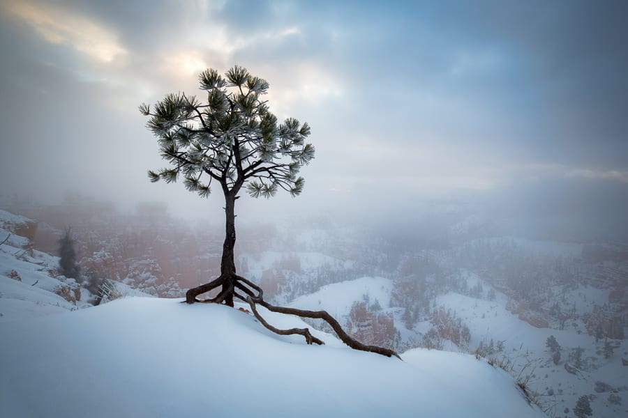 Simplicity is often preferred in photography, as it helps to strengthen the subject matter and reduce distractions. That was my intention while photographing this snowy scene at Bryce Canyon. Since we didn't get any light this particular morning, the clouds and fog helped to simplify the scene and make the tree become more prominent.