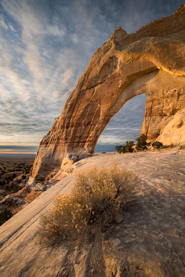 White Mesa Arch