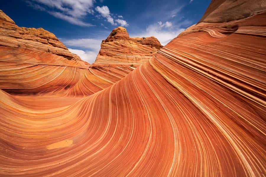 Trail To The Wave Arizona