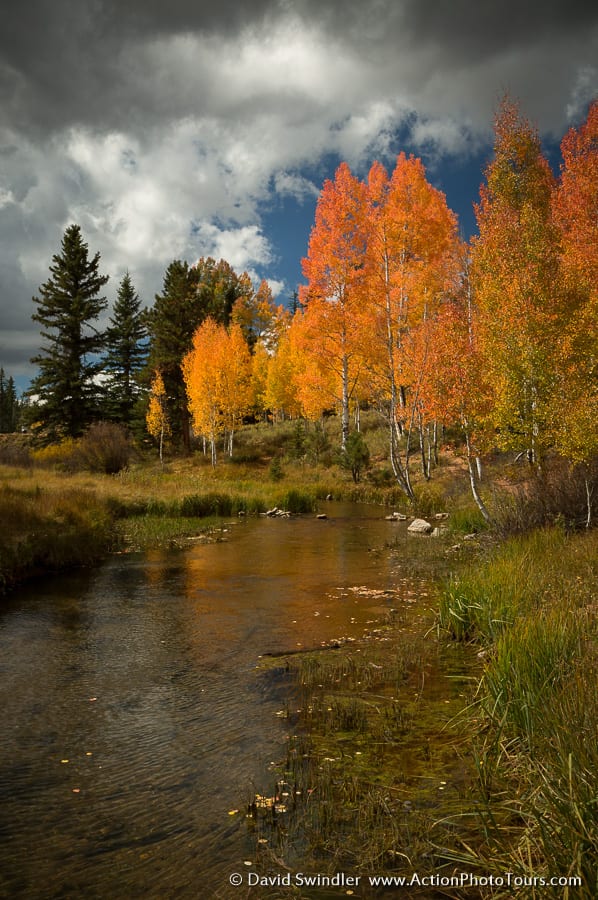 Mirror Lake Fall Colors in Southern Utah