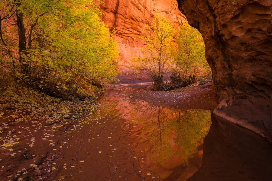 Grand Staircase Escalante Photo Tours