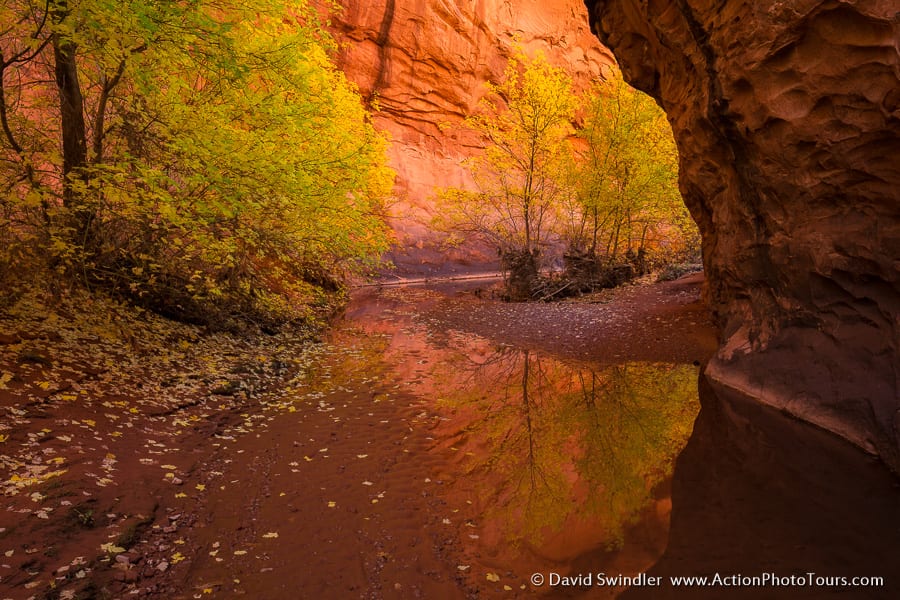 Canyons of the Escalante Fall Color