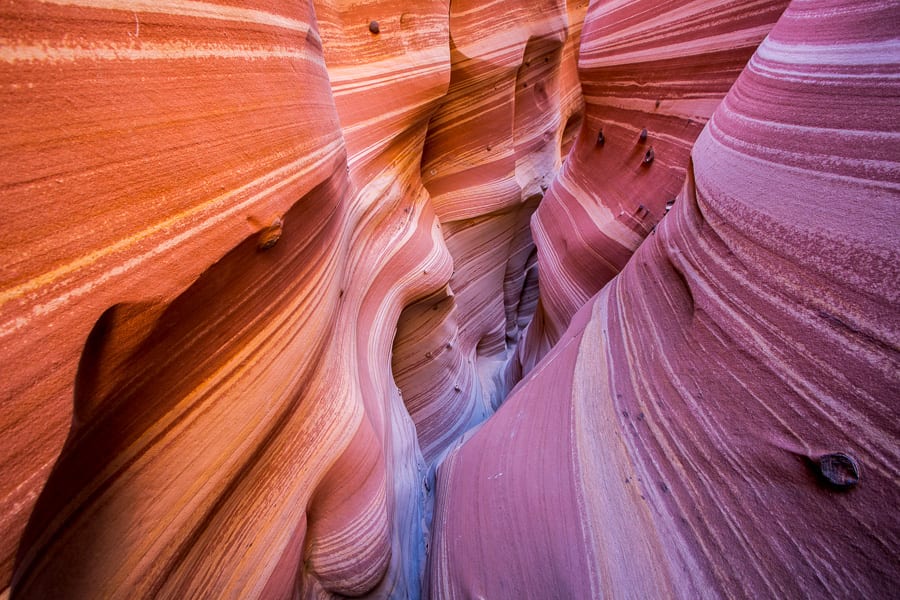 Zebra Canyon Grand Staircase Escalante Photo Tour