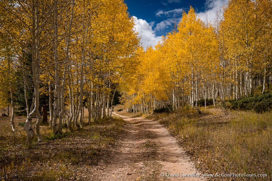 North Rim Fall Colors in Southern Utah