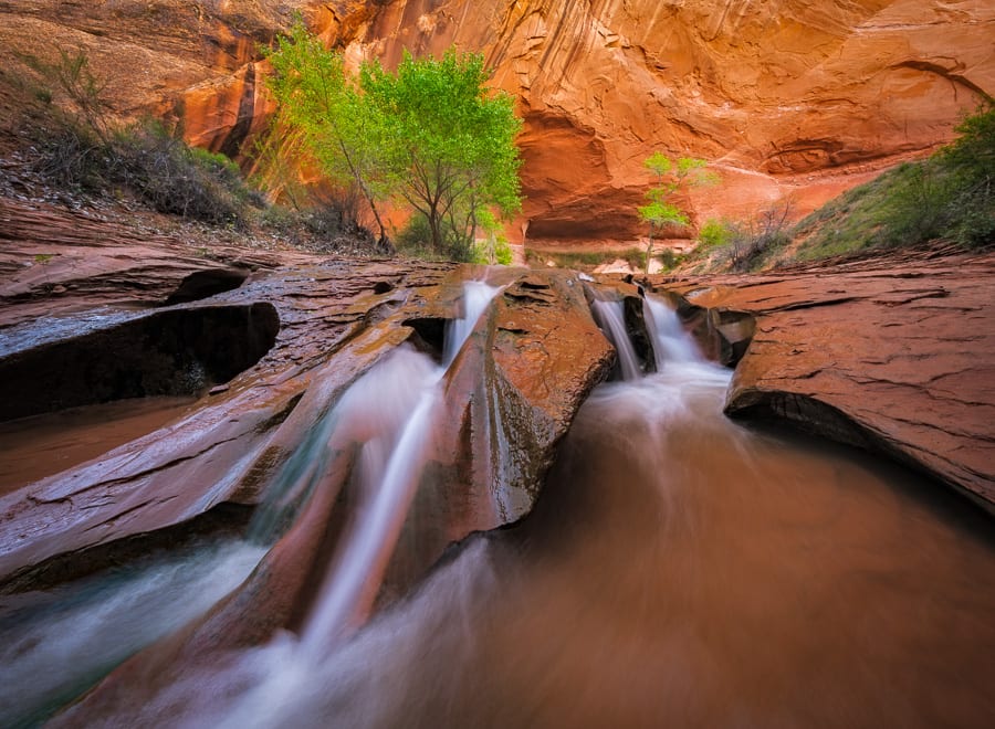 Happy Friday!  Here's a recent image from an outing to Coyote Gulch.  This is one of my favorite spots in the canyon and I enjoyed using my ultra-wide angle lens to acheive a new perspective on these falls. No focus-stacking needed - I was able to nail the hyperfocal distance.