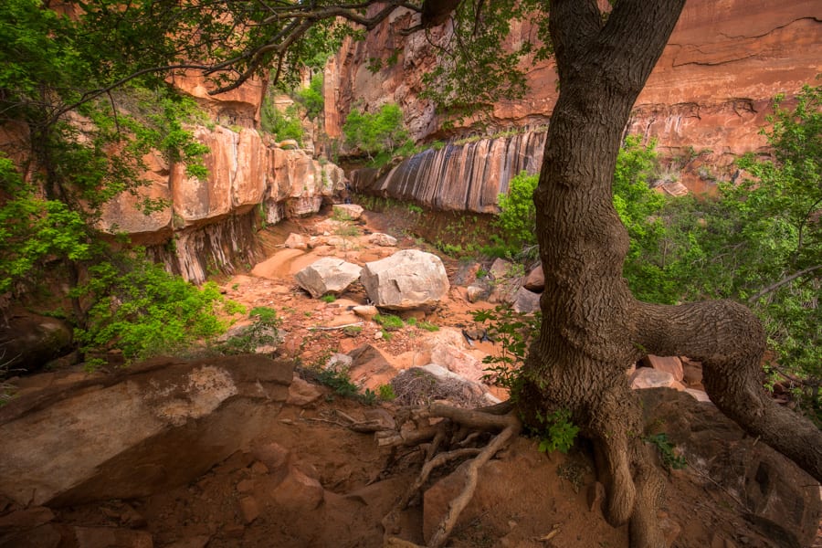 Slot Canyon Photography Tour