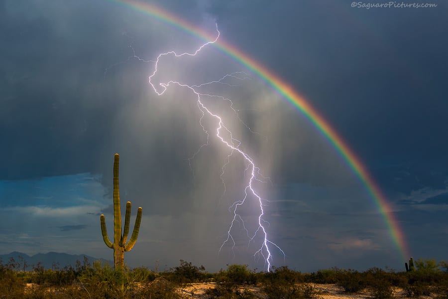 Storms & Saguaros Photography Workshop : Action Photo Tours