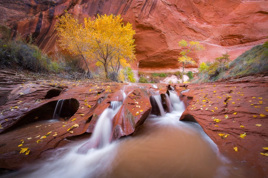 Canyon Colors Photo Workshop Coyote Gulch