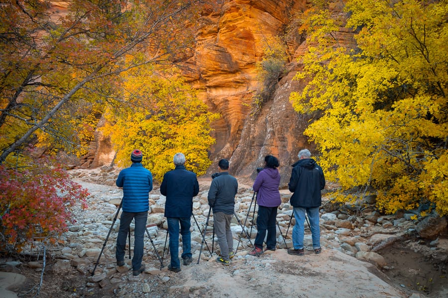 Southern Utah Fall Colors Photography Workshop Autumn Zion