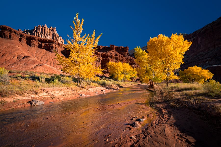 Southern Utah Fall Colors Action Photo Tours