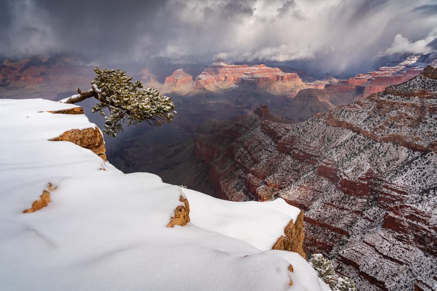 Winter in the Desert Photo Workshop