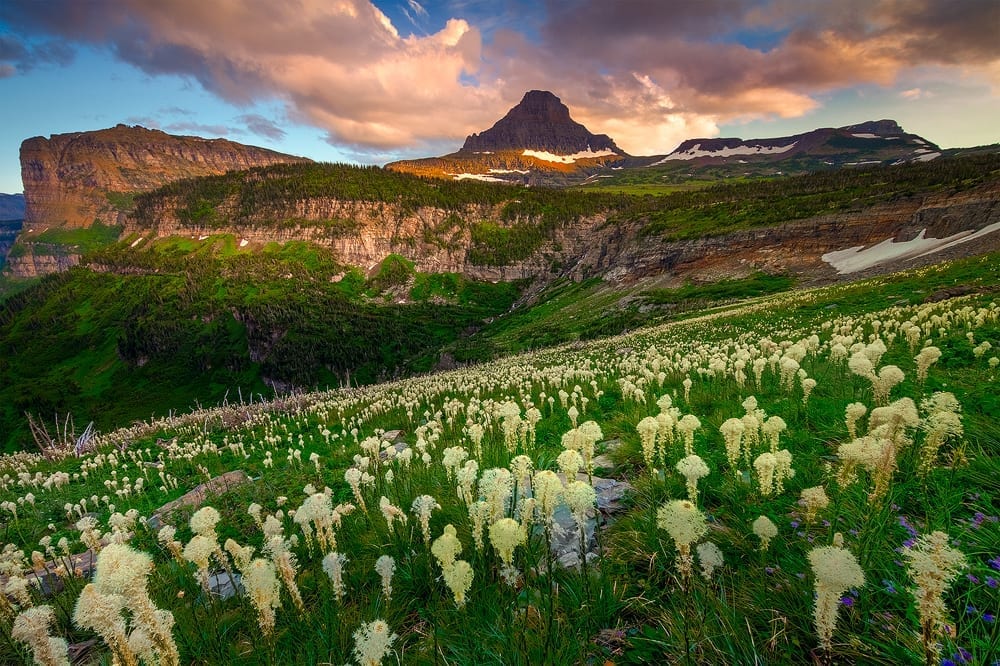Glacier National Park Photo Workshop