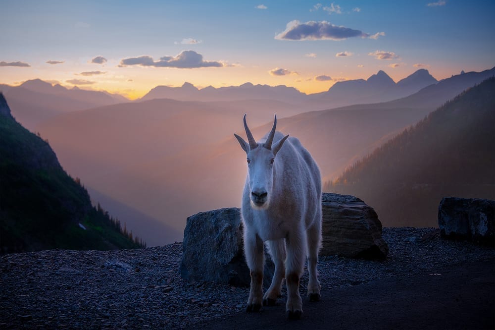 Visitors Joining Us For Sunset In The Valley_web Glacier Glacier National Park Photo Workshop