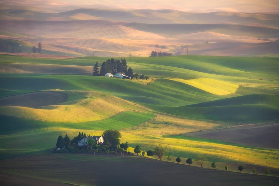 Palouse Landscape Tapestry