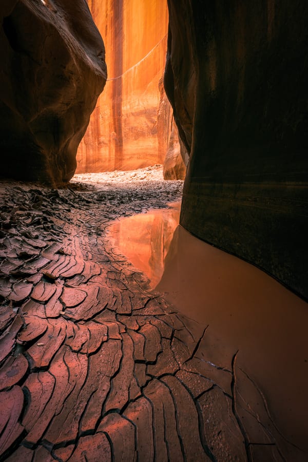 Slot Canyon Photo Tours Utah Arizona Buckskin Gulch