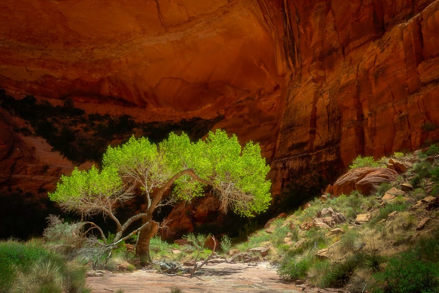 Lake Powell Houseboat Photo Workshop | Utah Tours