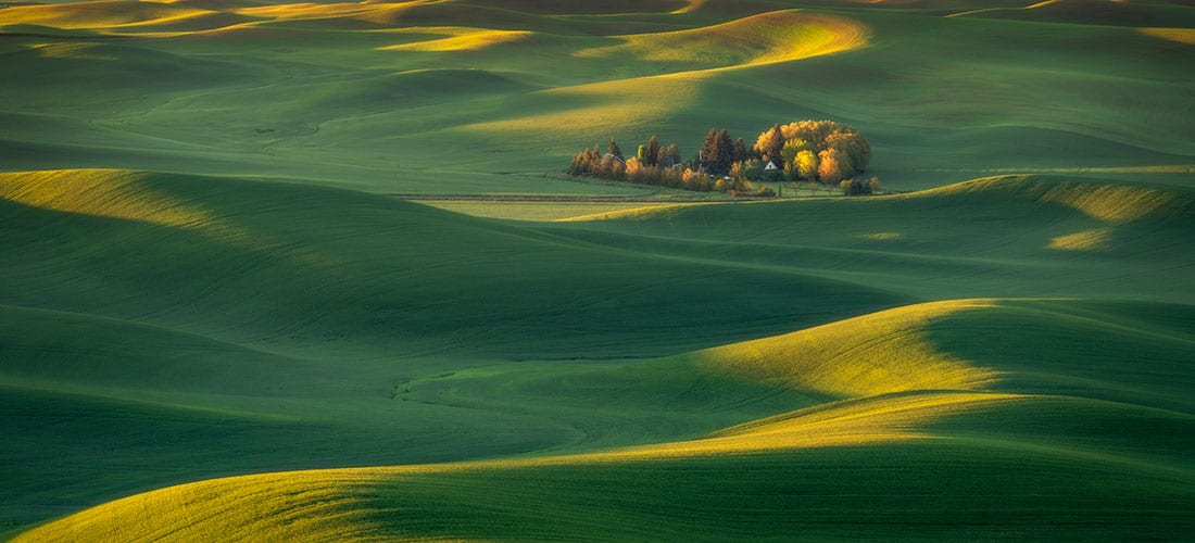 Palouse Spring Photo Workshop