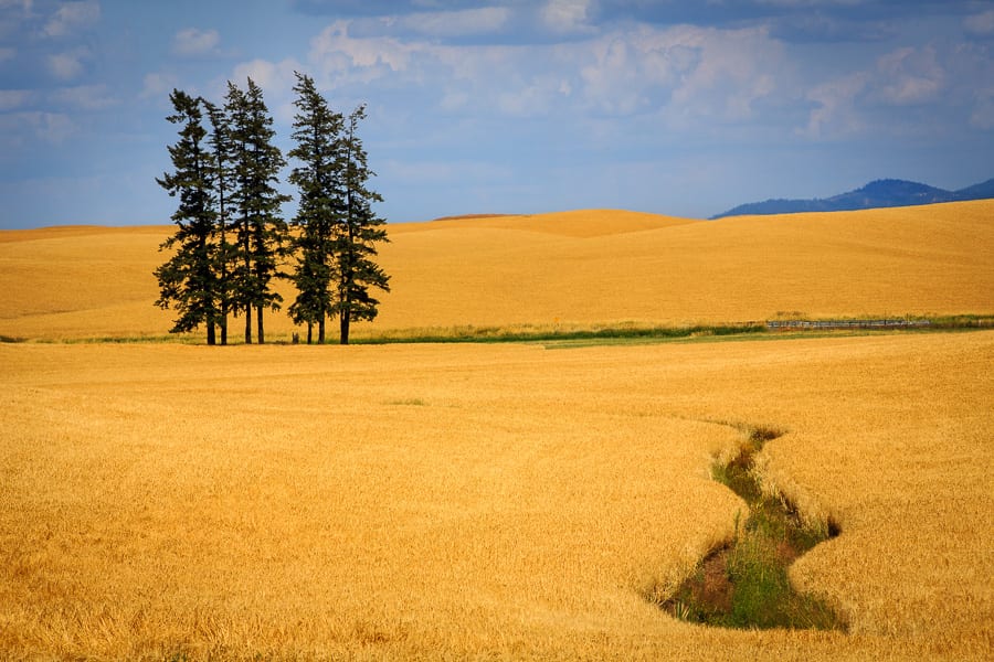 Palouse Landscape Palouse Harvest Photo Workshop