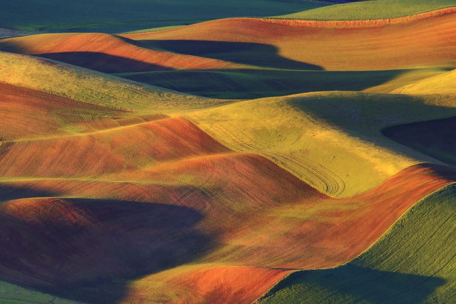 Palouse Harvest Photo Workshop