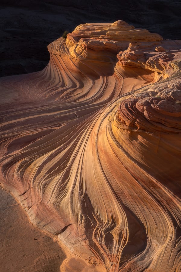 The Second Wave Coyote Buttes North Action Photo Tours