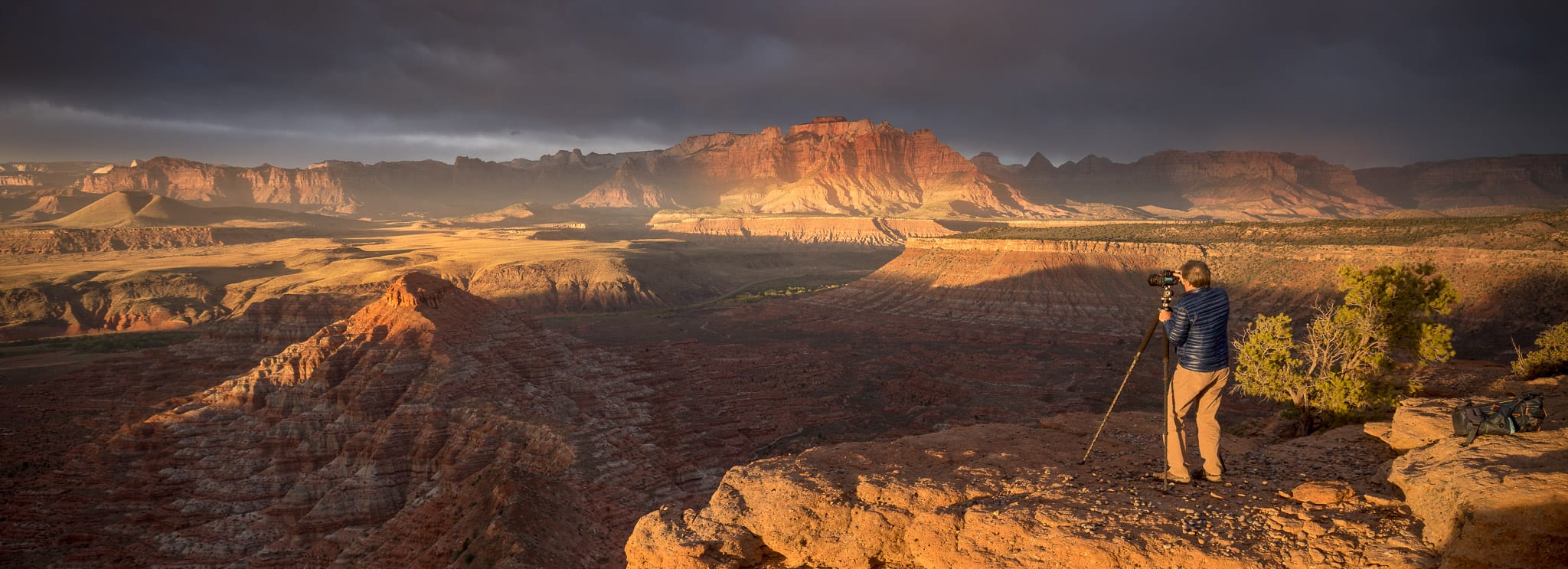 Zion Banner