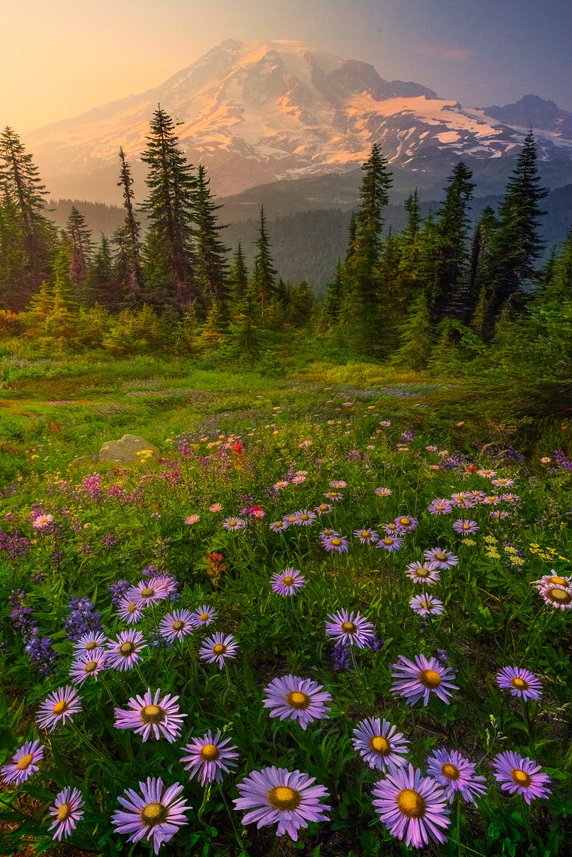 Pinnacle Peak Trail on Mt. Rainier - Action Photo Tours & Workshops