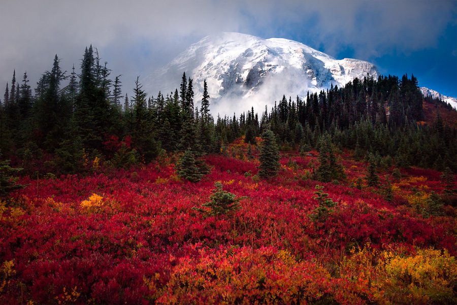 Mt Rainier Fall - Kevin McNeal
