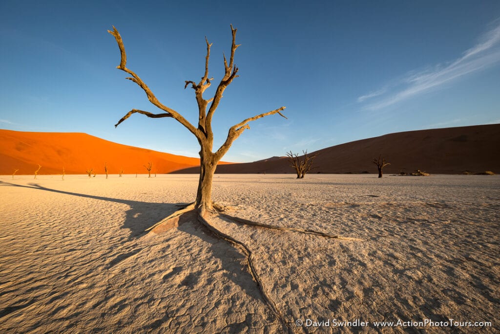 Focal length and perspective in landscape photography namibia trees