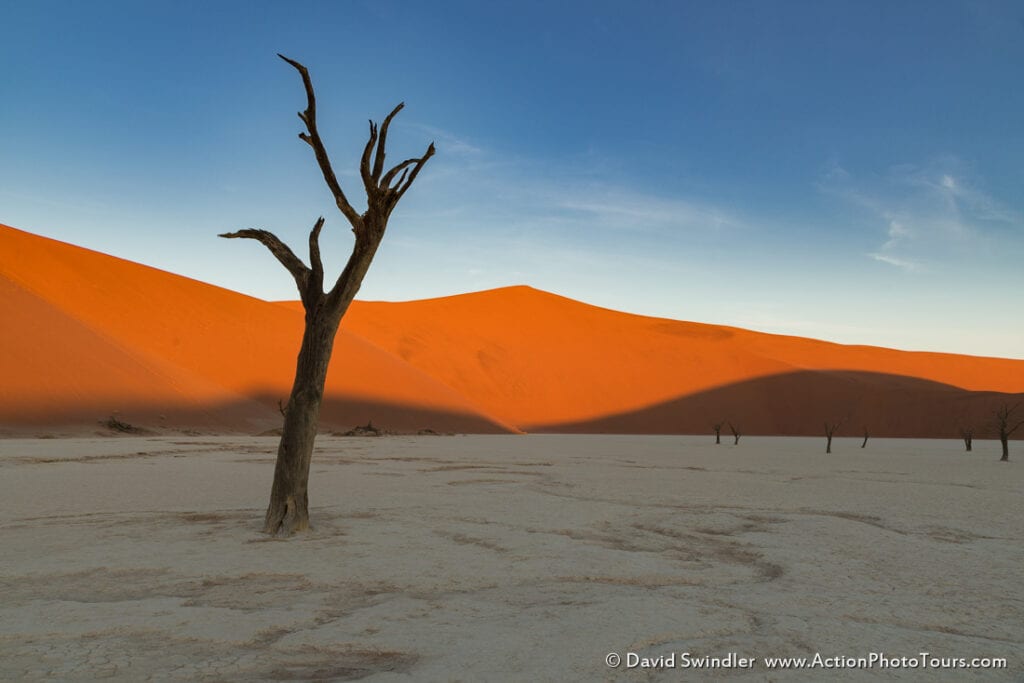 Focal length and perspective in landscape photography namibia trees