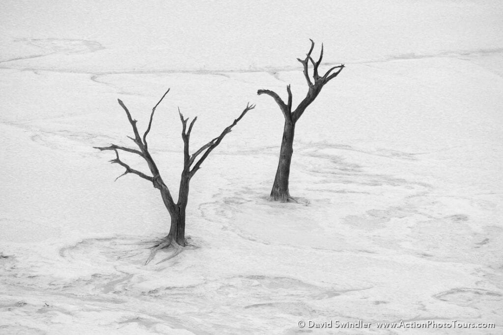 Focal length and perspective in landscape photography namibia trees