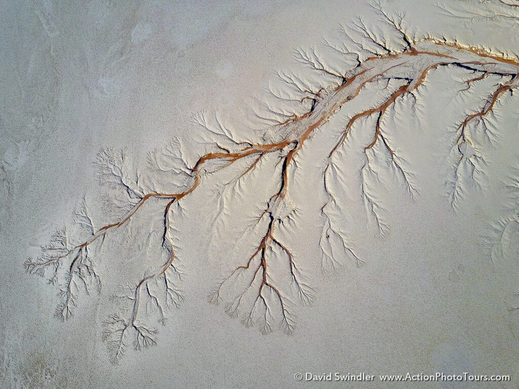 Focal length and perspective in landscape photography namibia trees